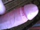 19 cm reali