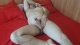 +40761674544 whats app nu pot răspunde la mesaje nu mi permite site-ul ca nu suntem membru premium