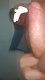 CRISTI 