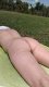 Nud